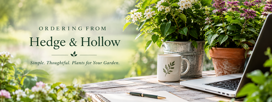 Ordering From Hedge & Hollow