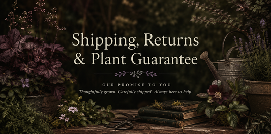 Shipping, Returns & Plant Guarantee