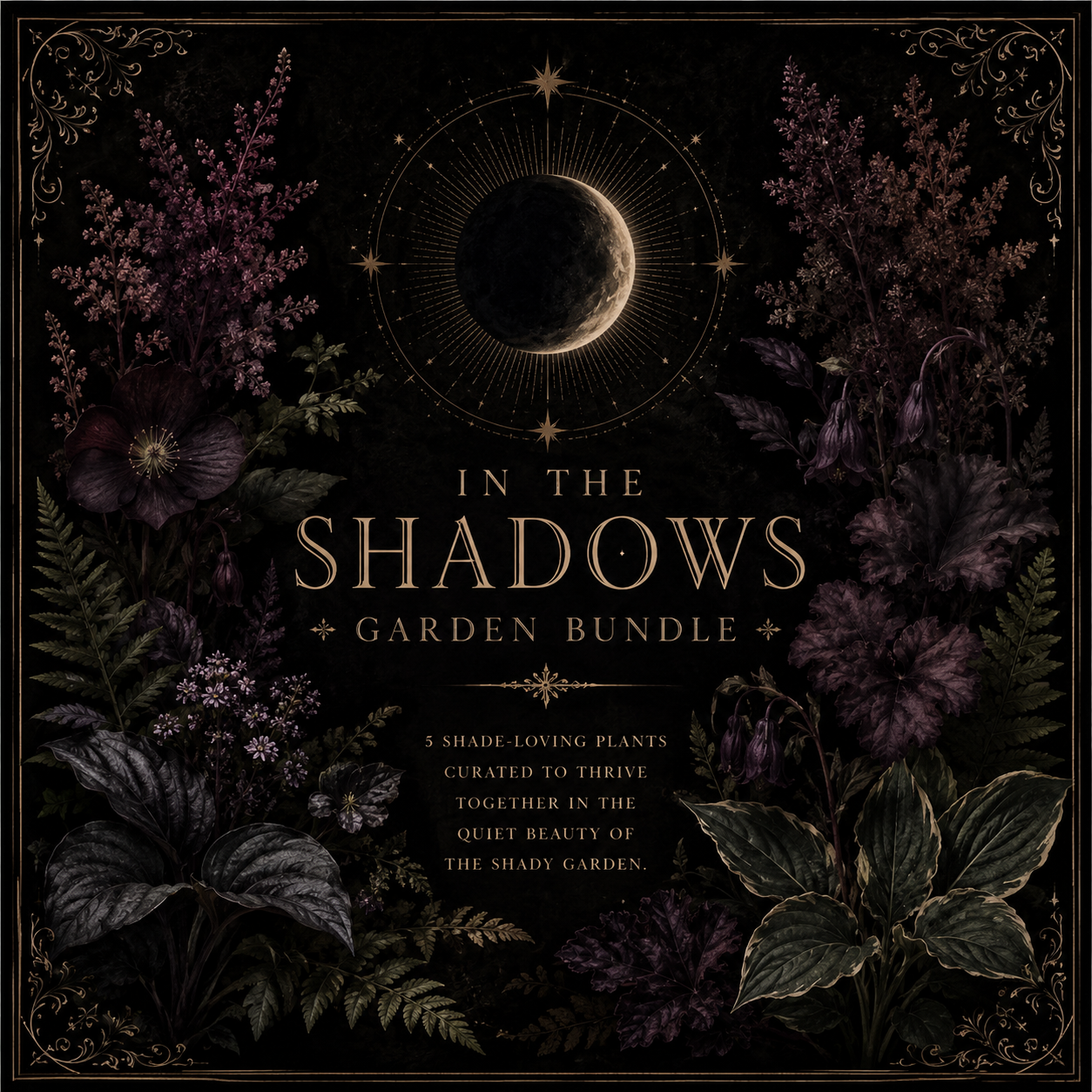 In The Shadows Mystery Bundle