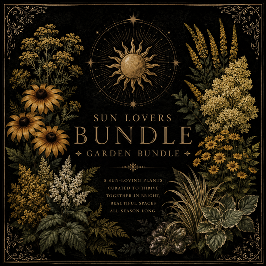 The Sun-Lovers Mystery Bundle