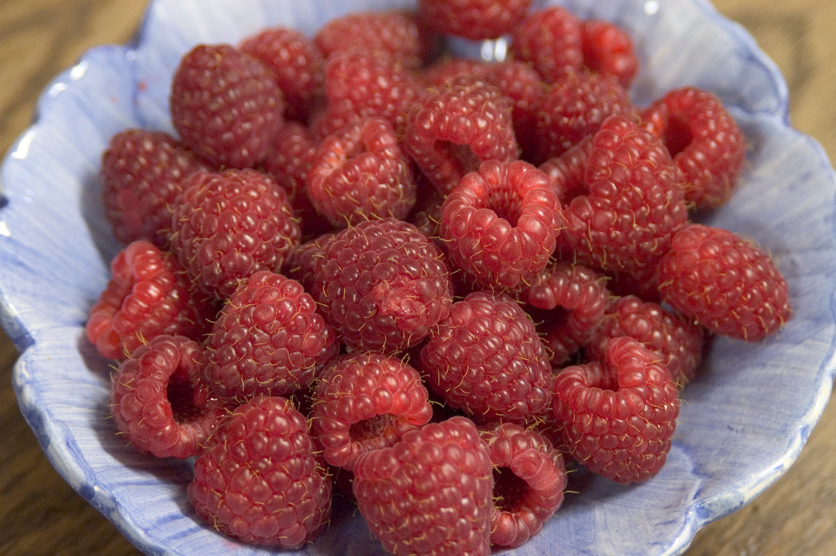 Heritage | Red Raspberry