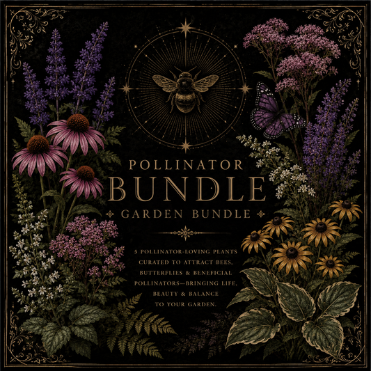 The Pollinator Mystery Bundle