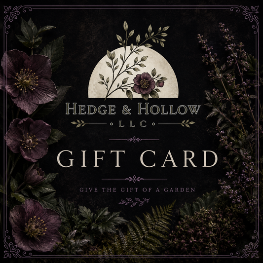 Hedge & Hollow Garden Gift Card
